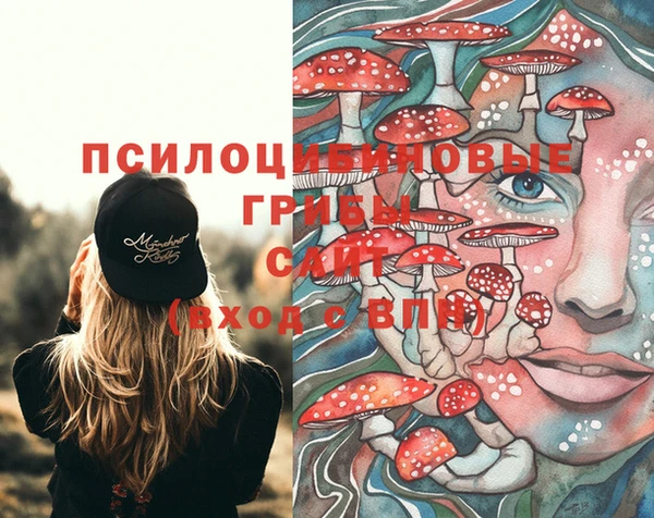 таблы Алексеевка