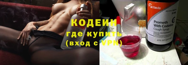 молекула духа Алзамай