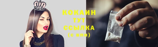 a pvp Гатчина