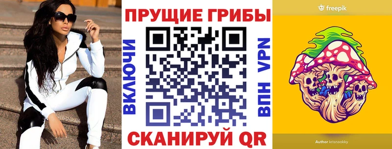 Галлюциногенные грибы Psilocybe  Ковылкино 